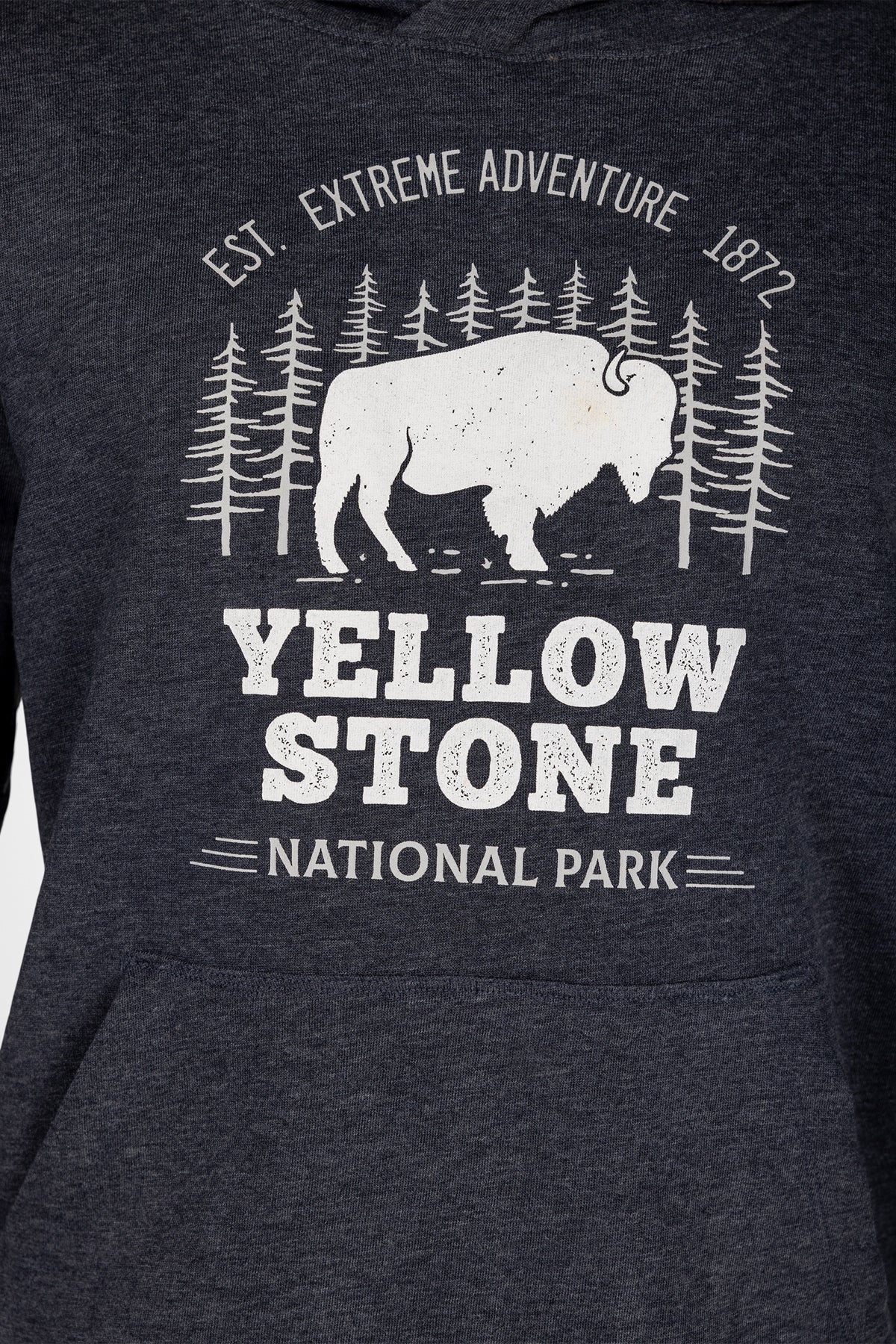 Inspiration Hoodie